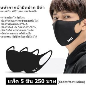 WDT Cloth mask